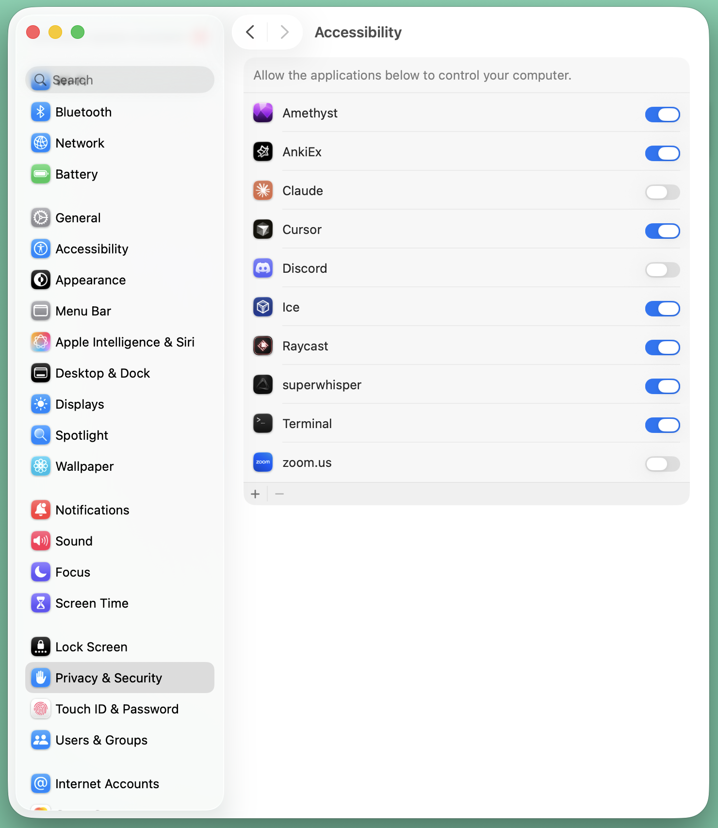 Accessibility permission prompt for AnkiEx